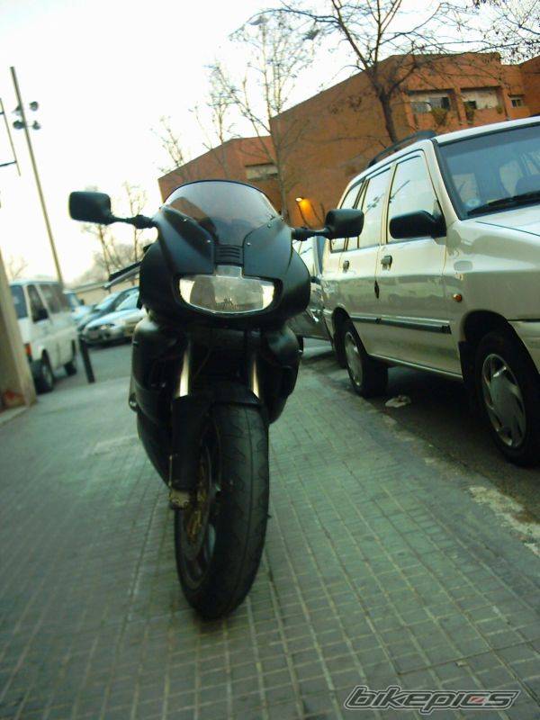 Photo 311206