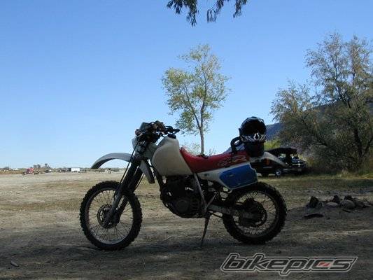 Photo 311244