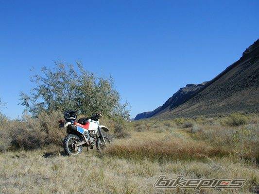 Photo 311245