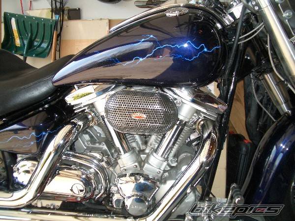 Photo 311282
