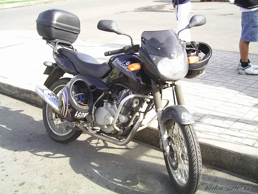 Photo 311345