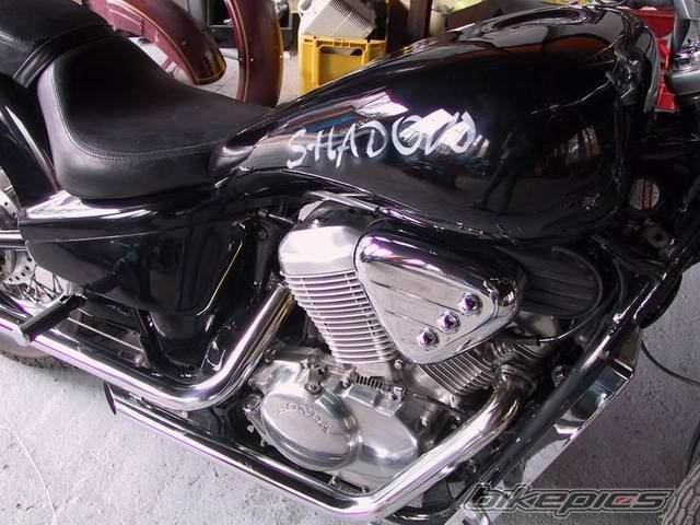 Photo 311385