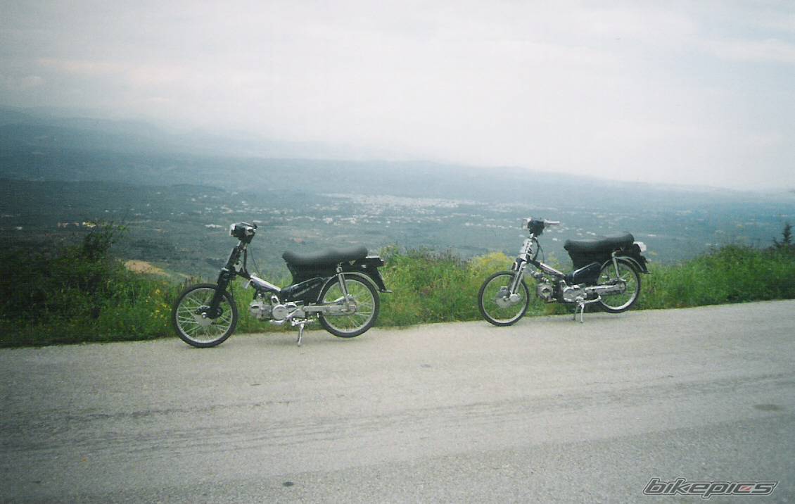 Photo 311508