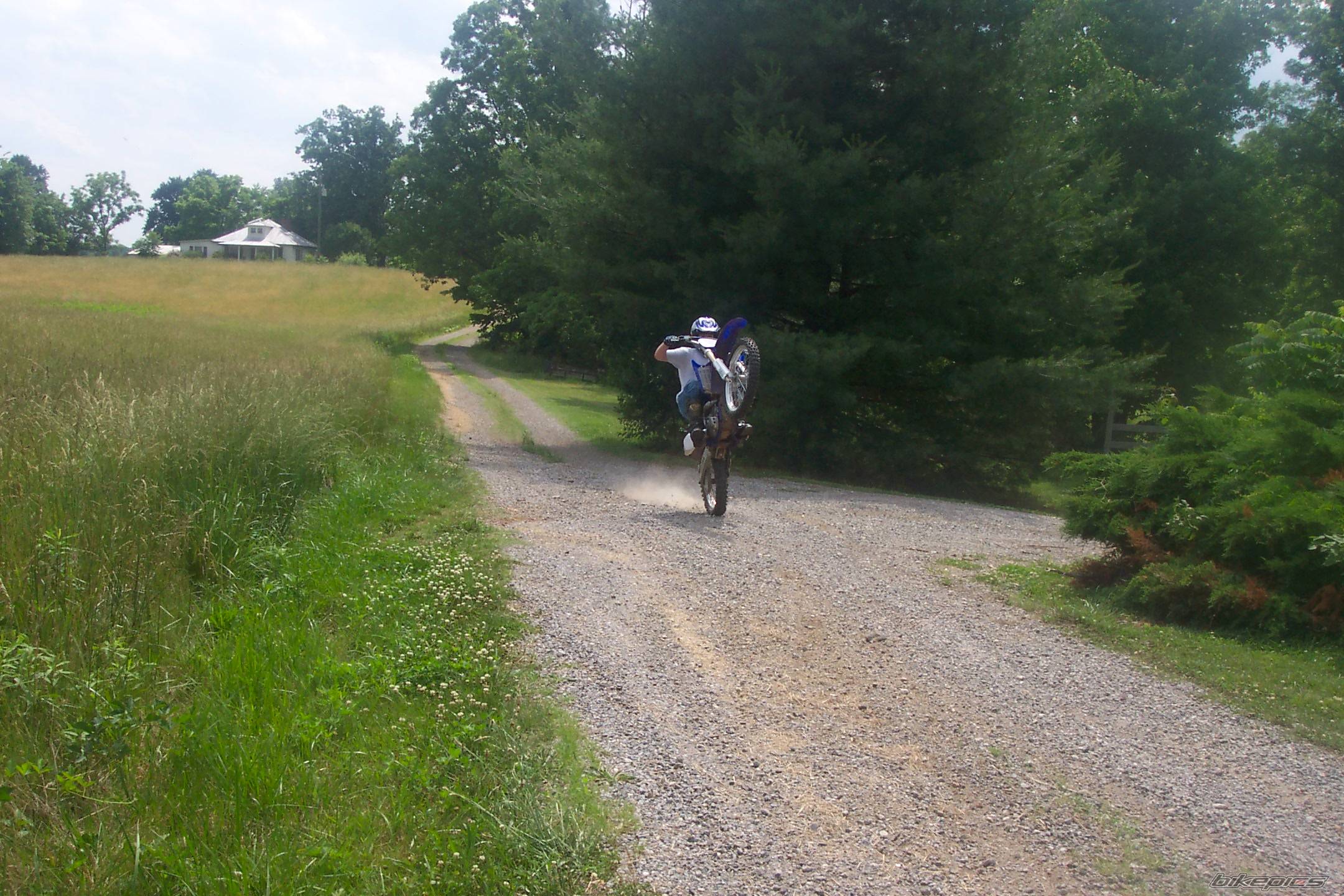 Photo 311545