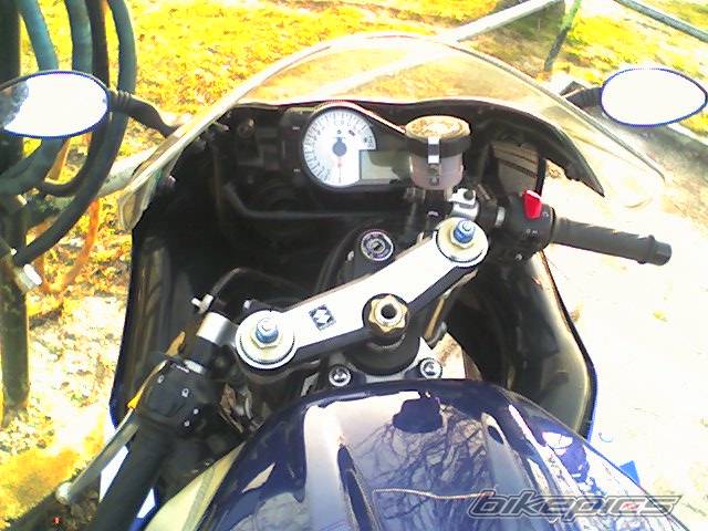 Photo 311591