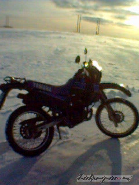 Bike Photo 311622