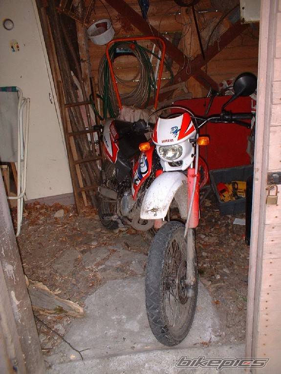 Photo 311683