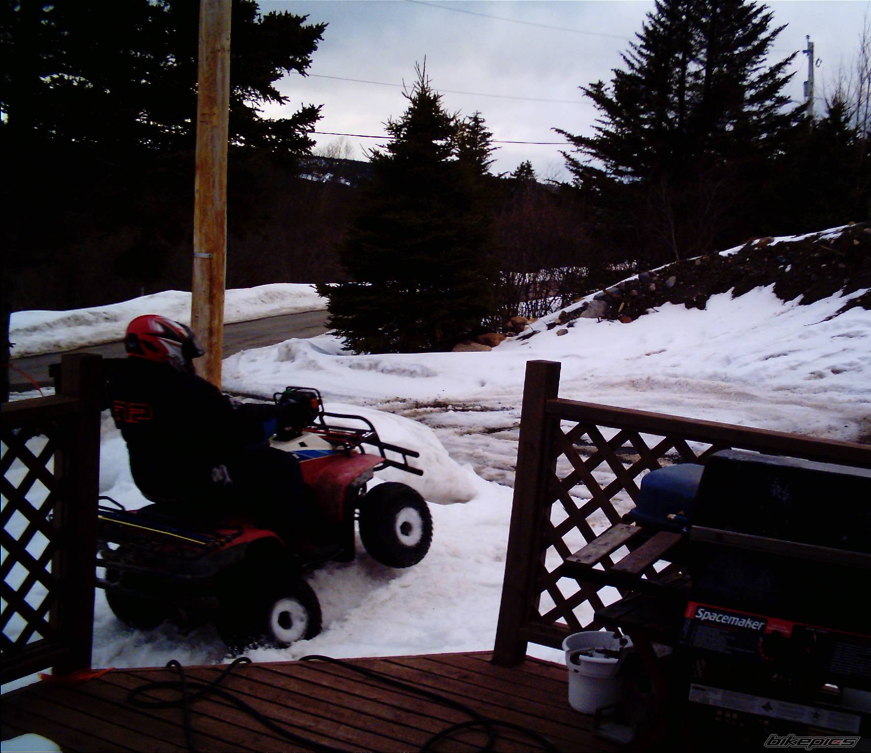 Photo 311763