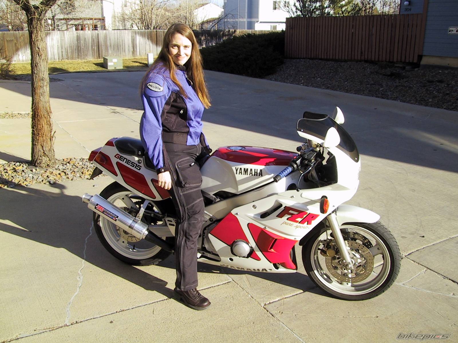 Bike Photo 311813