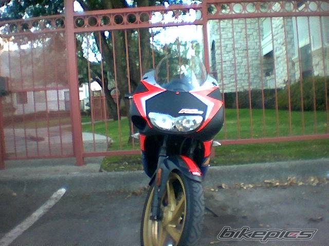Photo 311928