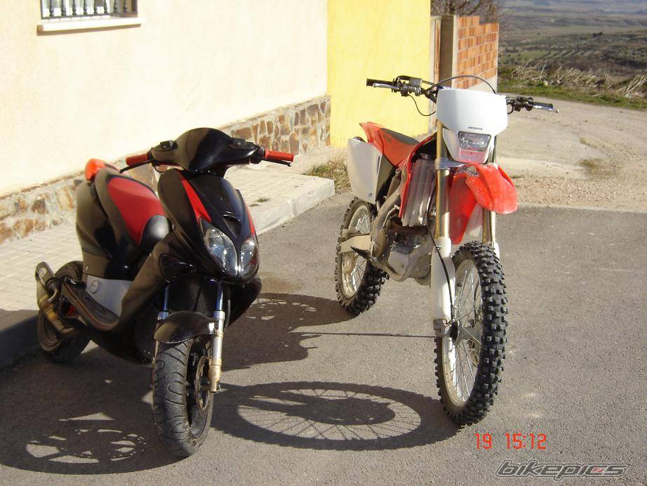 Photo 311988