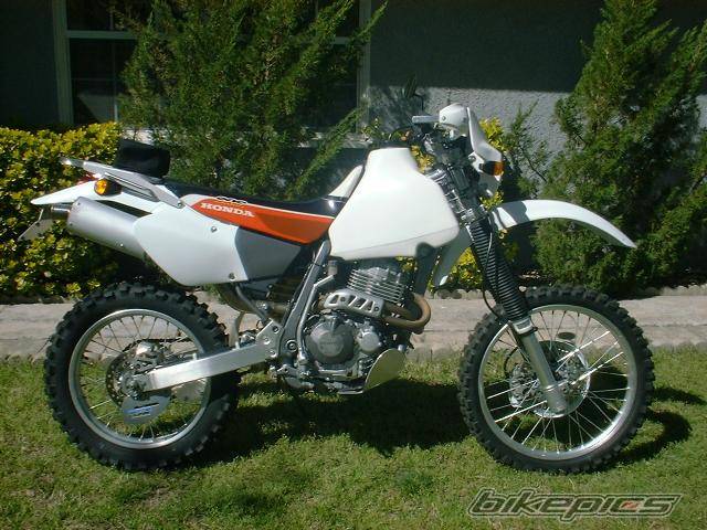 Bike Photo 312008