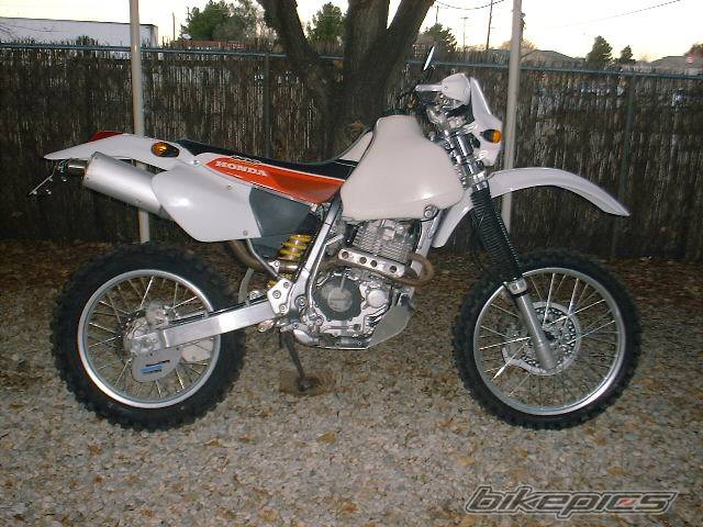 Photo 312009