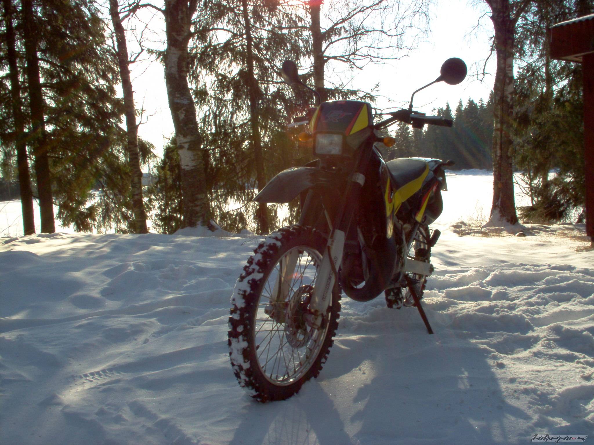 Bike Photo 312031