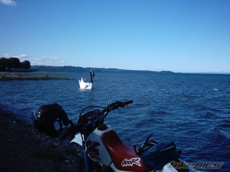 Photo 312098
