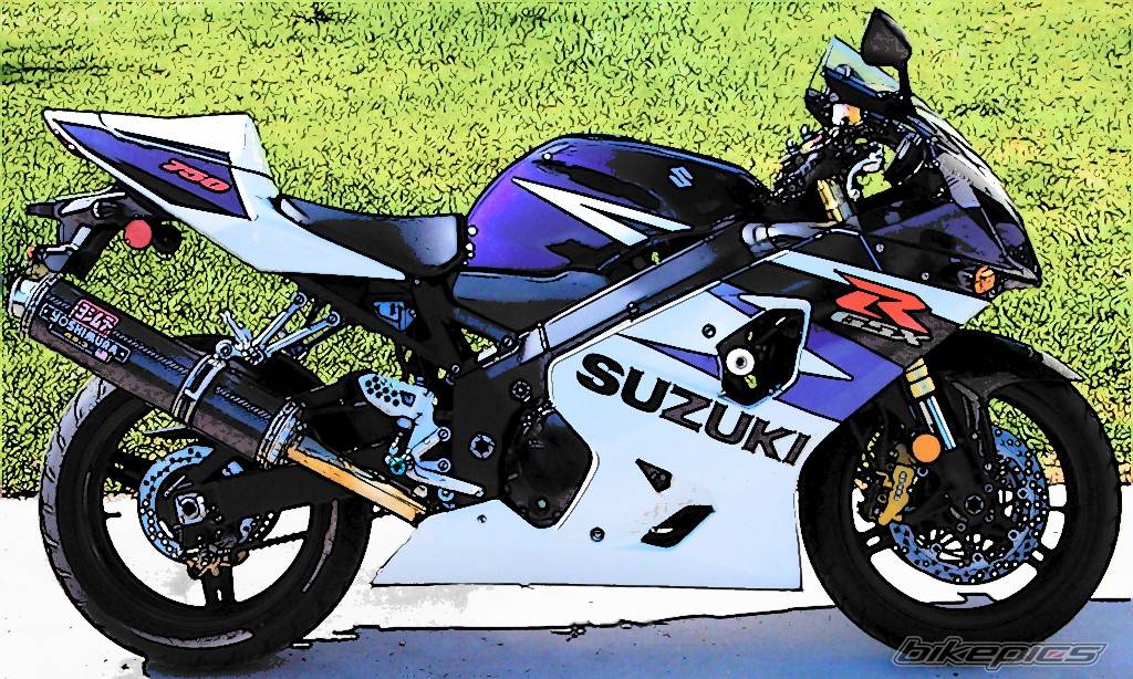 Bike Photo 312118