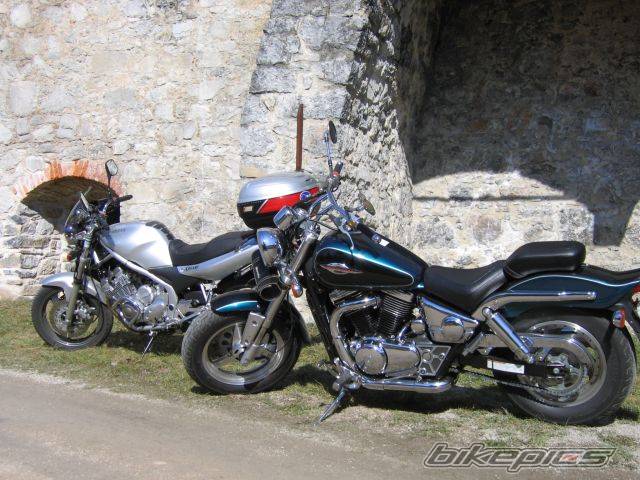 Photo 312124
