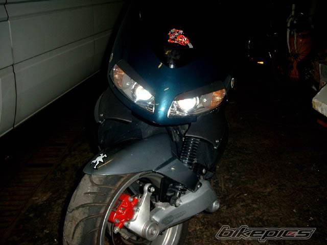 Photo 31213