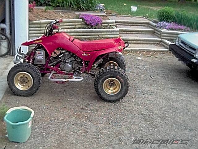 Bike Photo 31216
