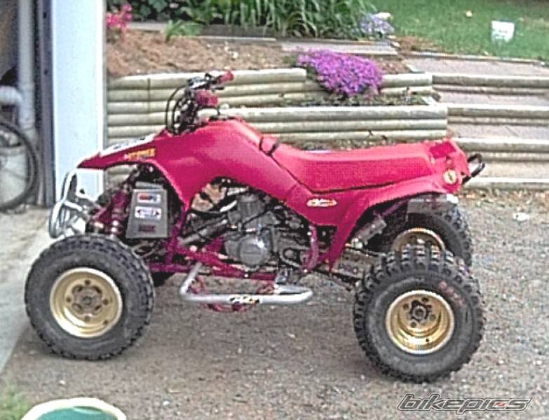 Bike Photo 31217