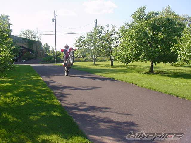 Photo 31222