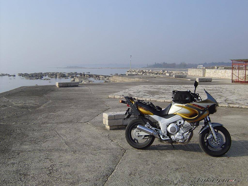 Photo 312220