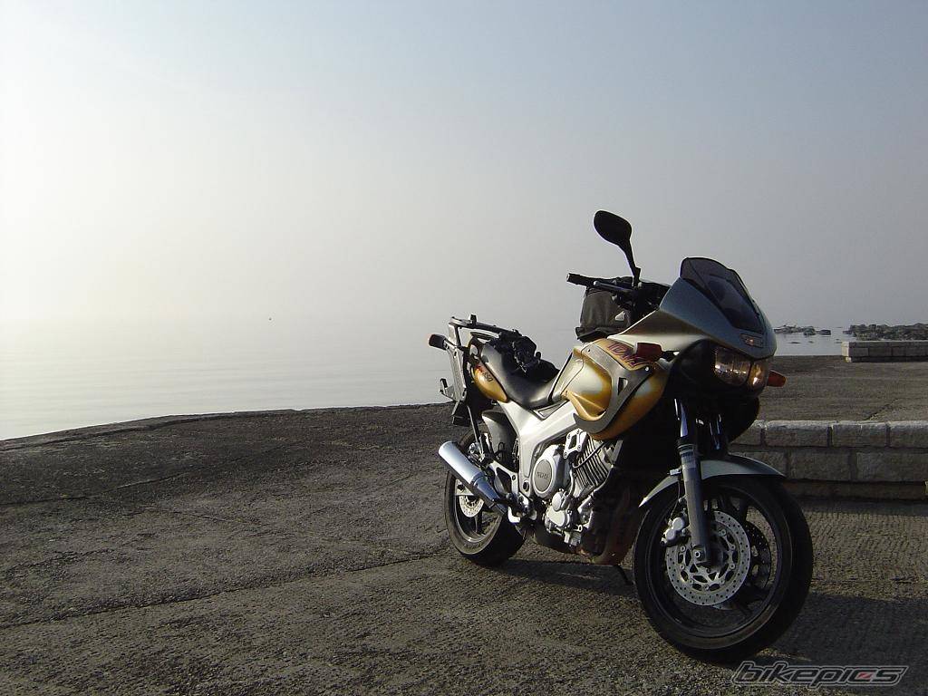 Photo 312222