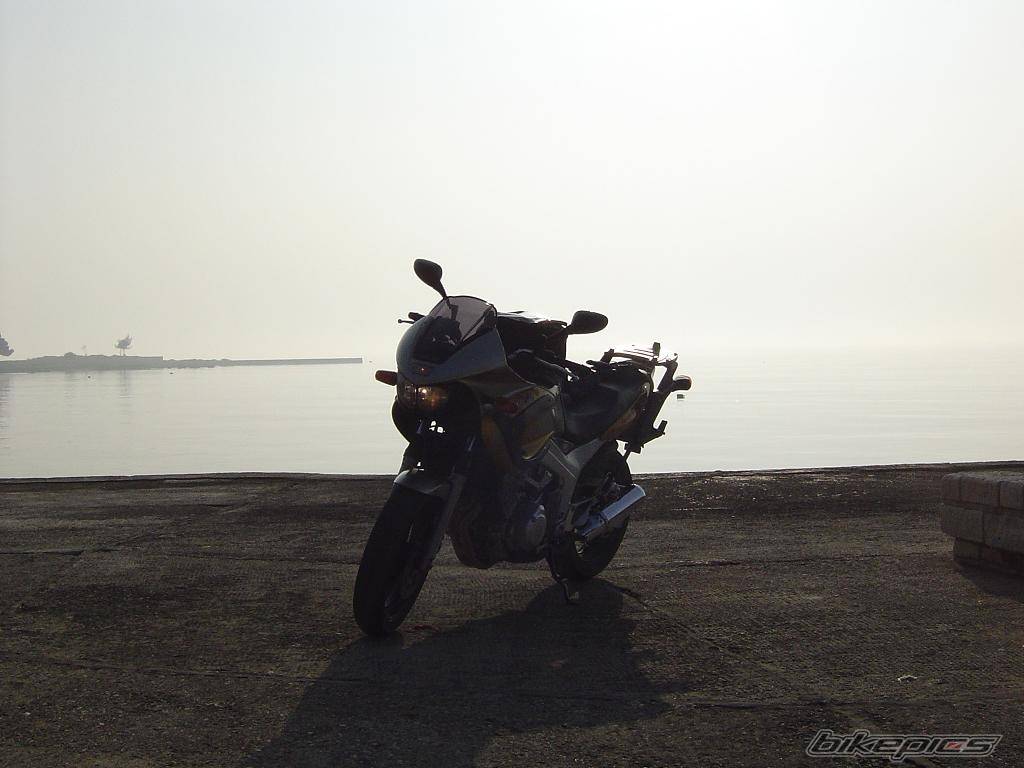 Bike Photo 312223