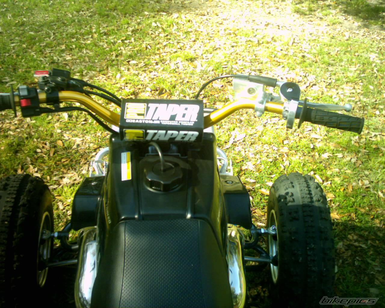 Photo 312237