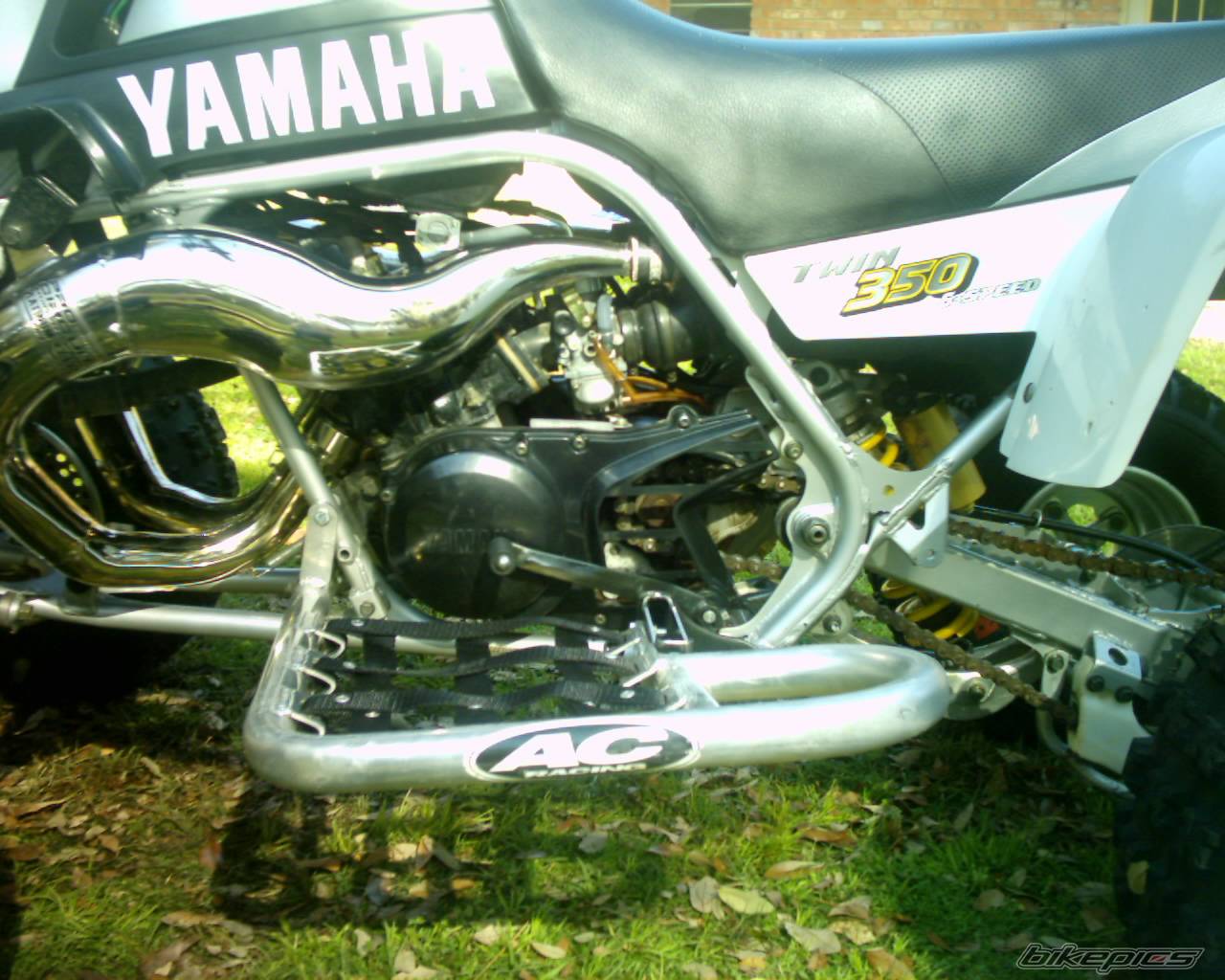 Photo 312251