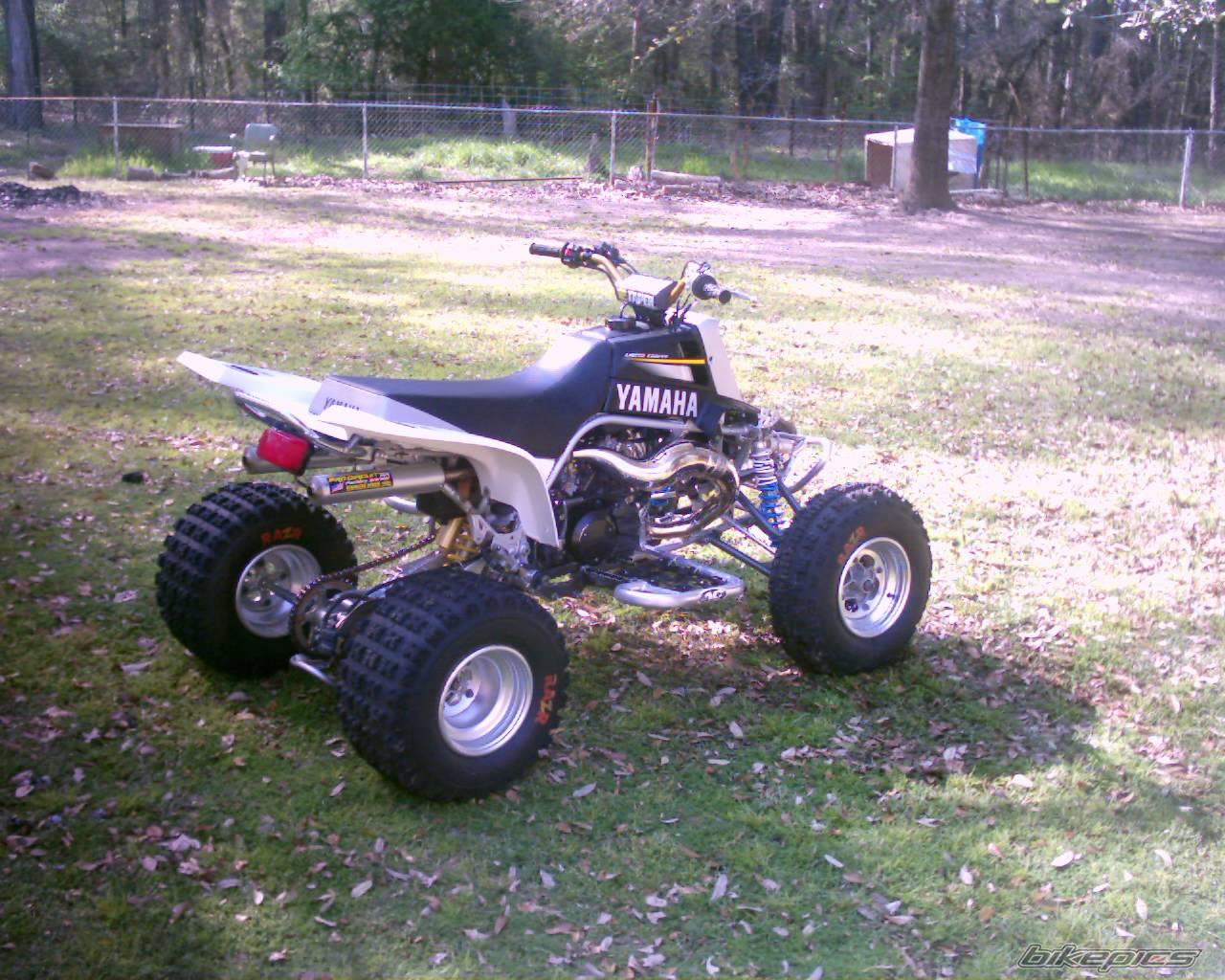 Photo 312255