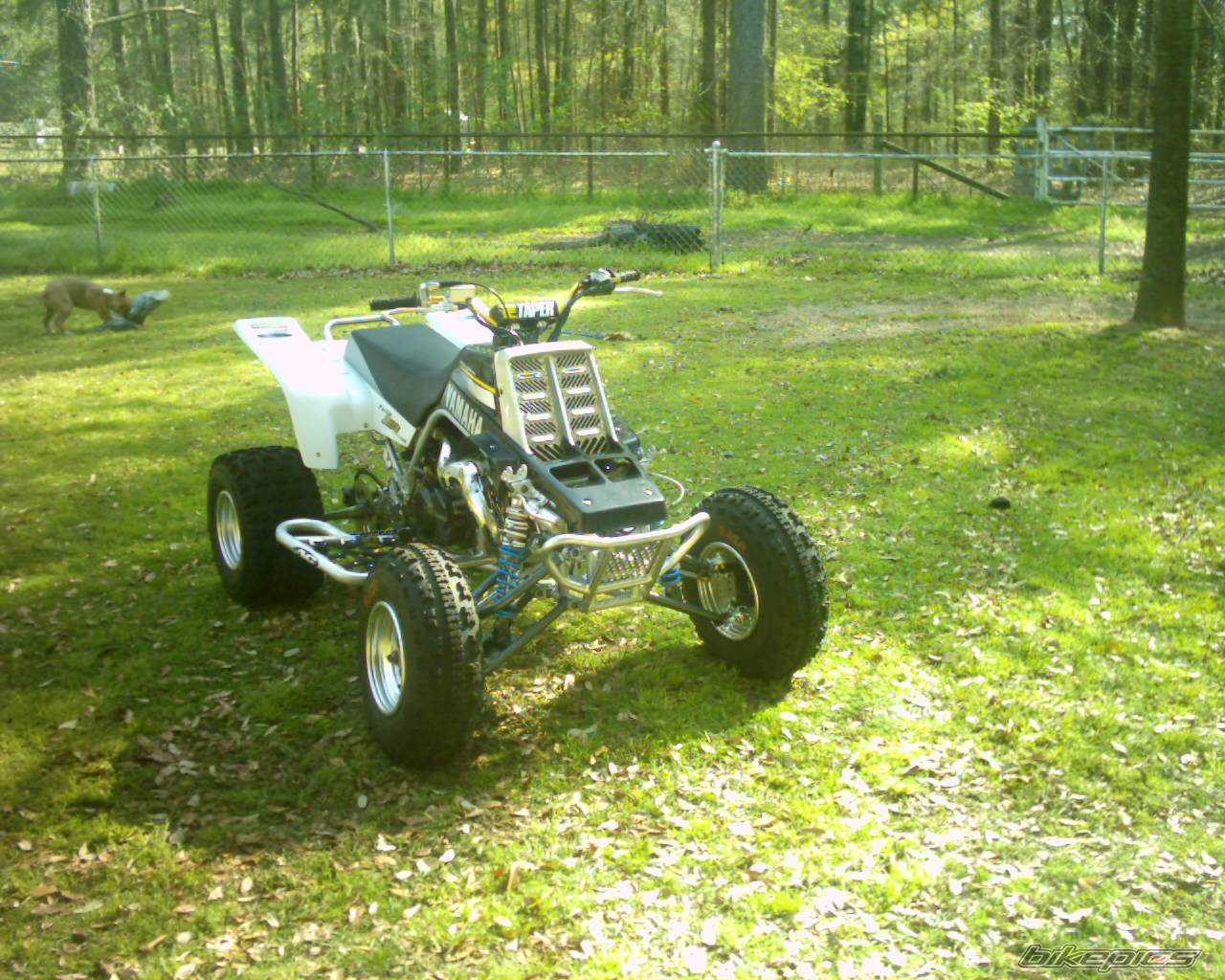 Photo 312258