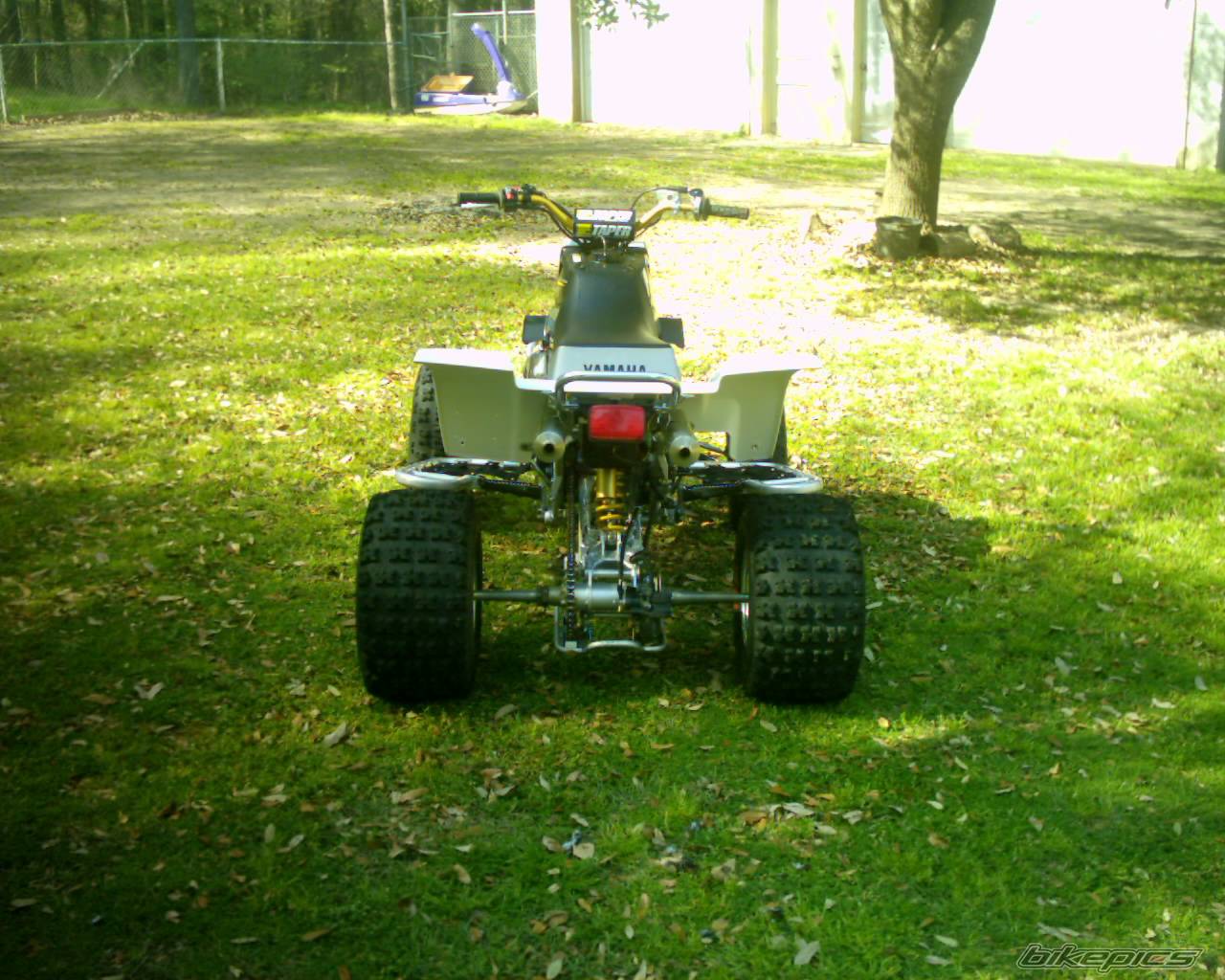 Photo 312262