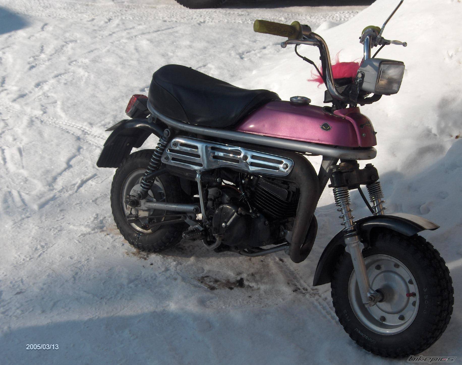Bike Photo 312277
