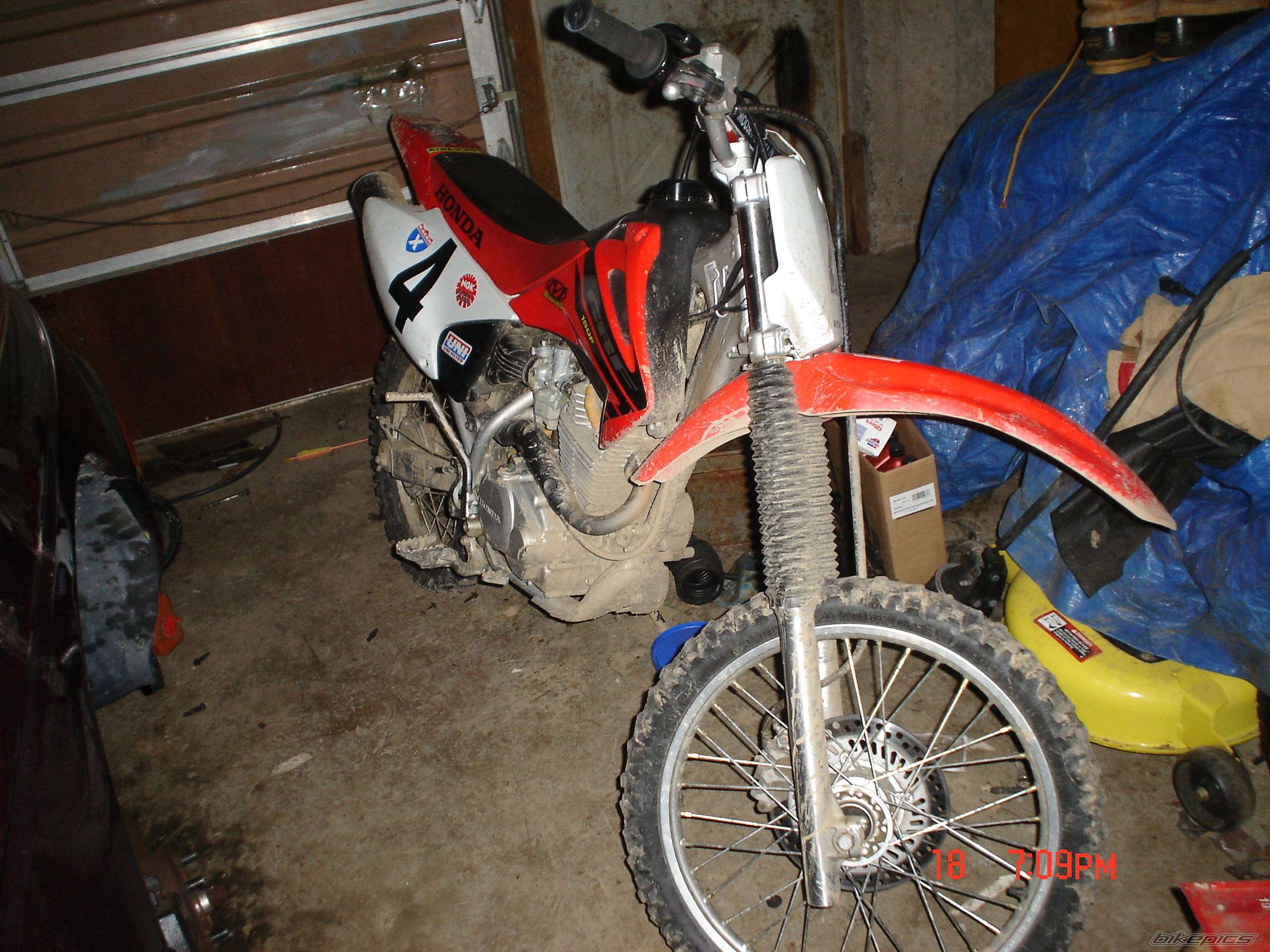 Photo 312291
