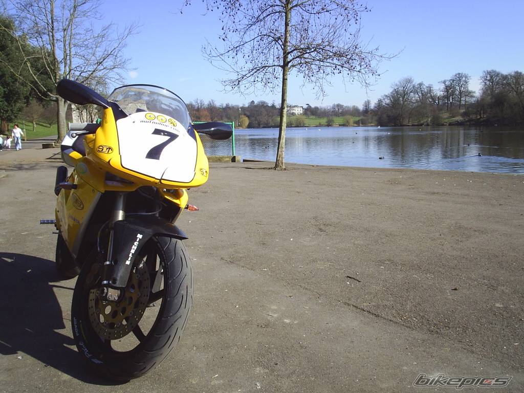Photo 312294