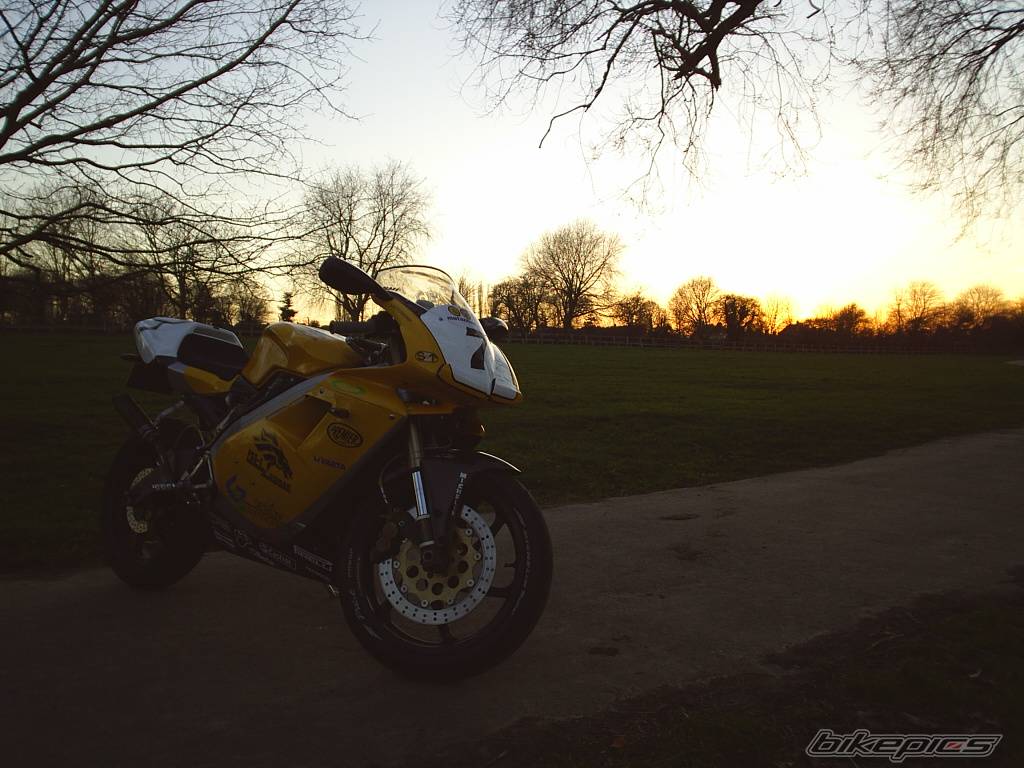 Photo 312297