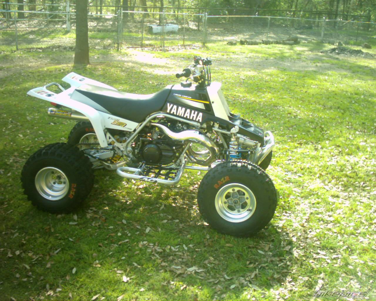 Photo 312369