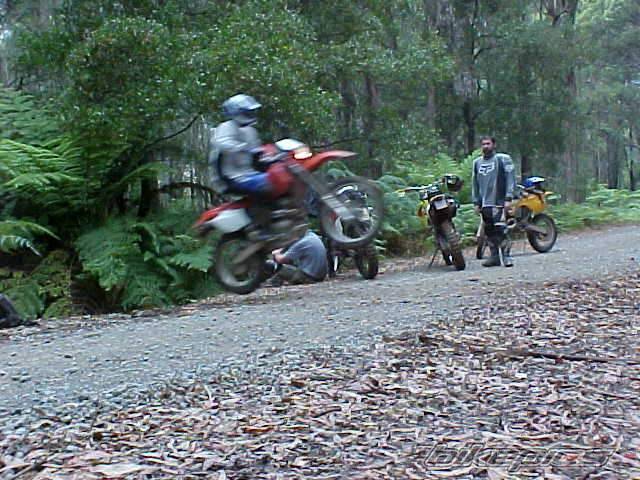 Bike Photo 312372