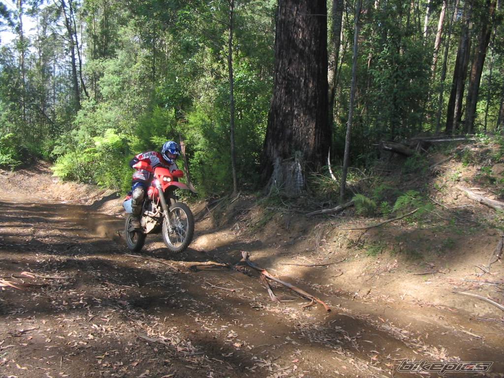 Bike Photo 312374