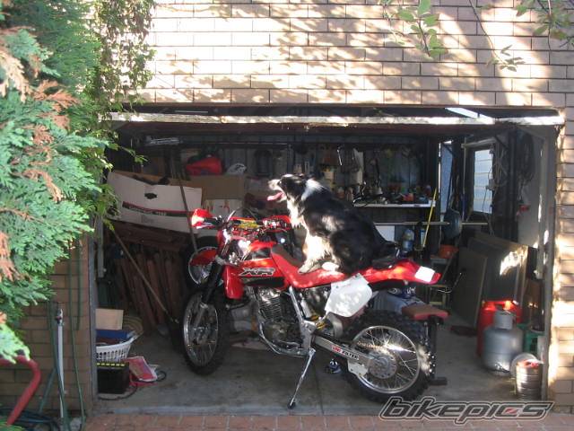 Bike Photo 312377