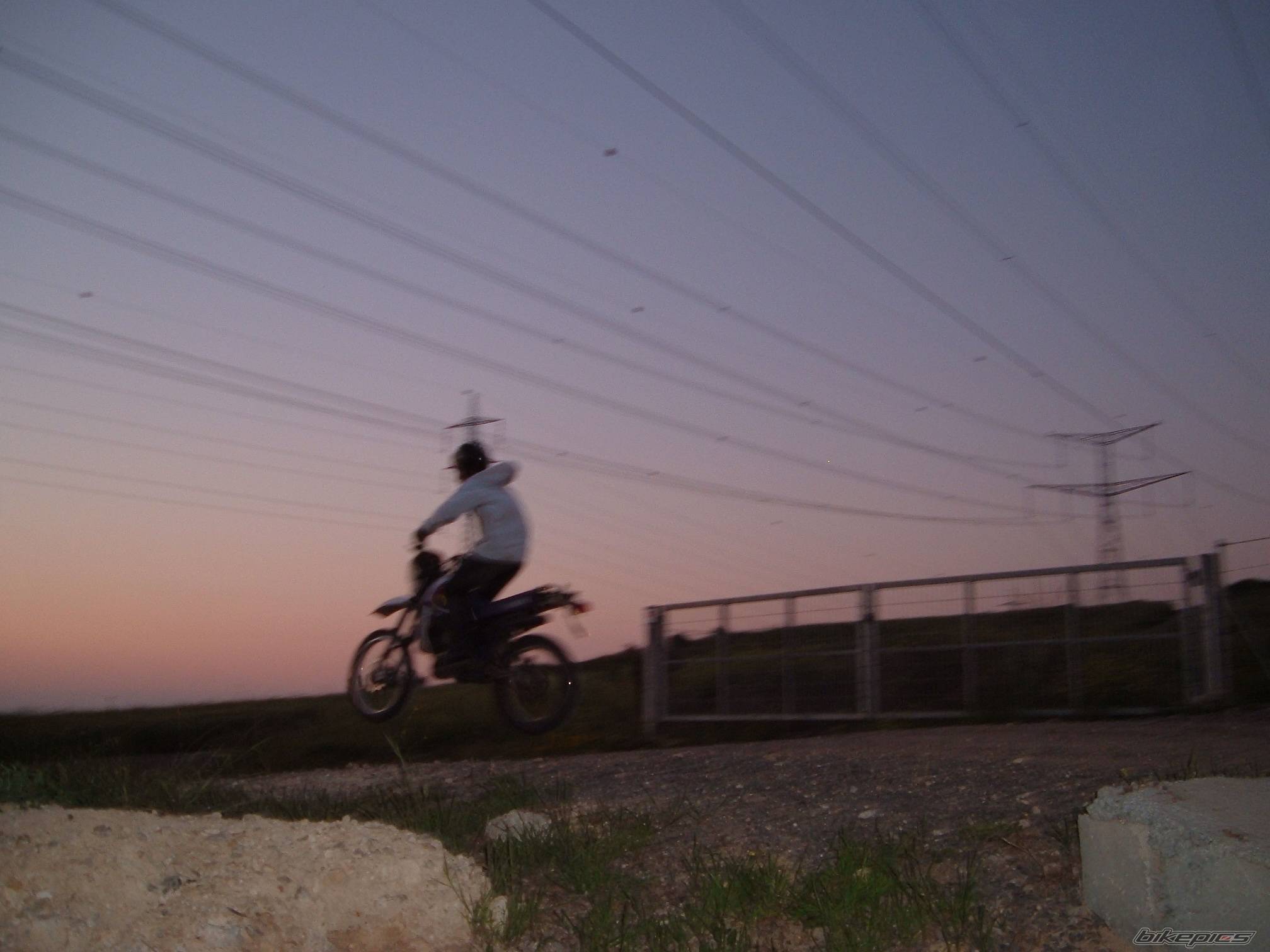 Photo 312392