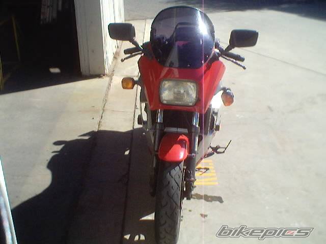 Photo 312427