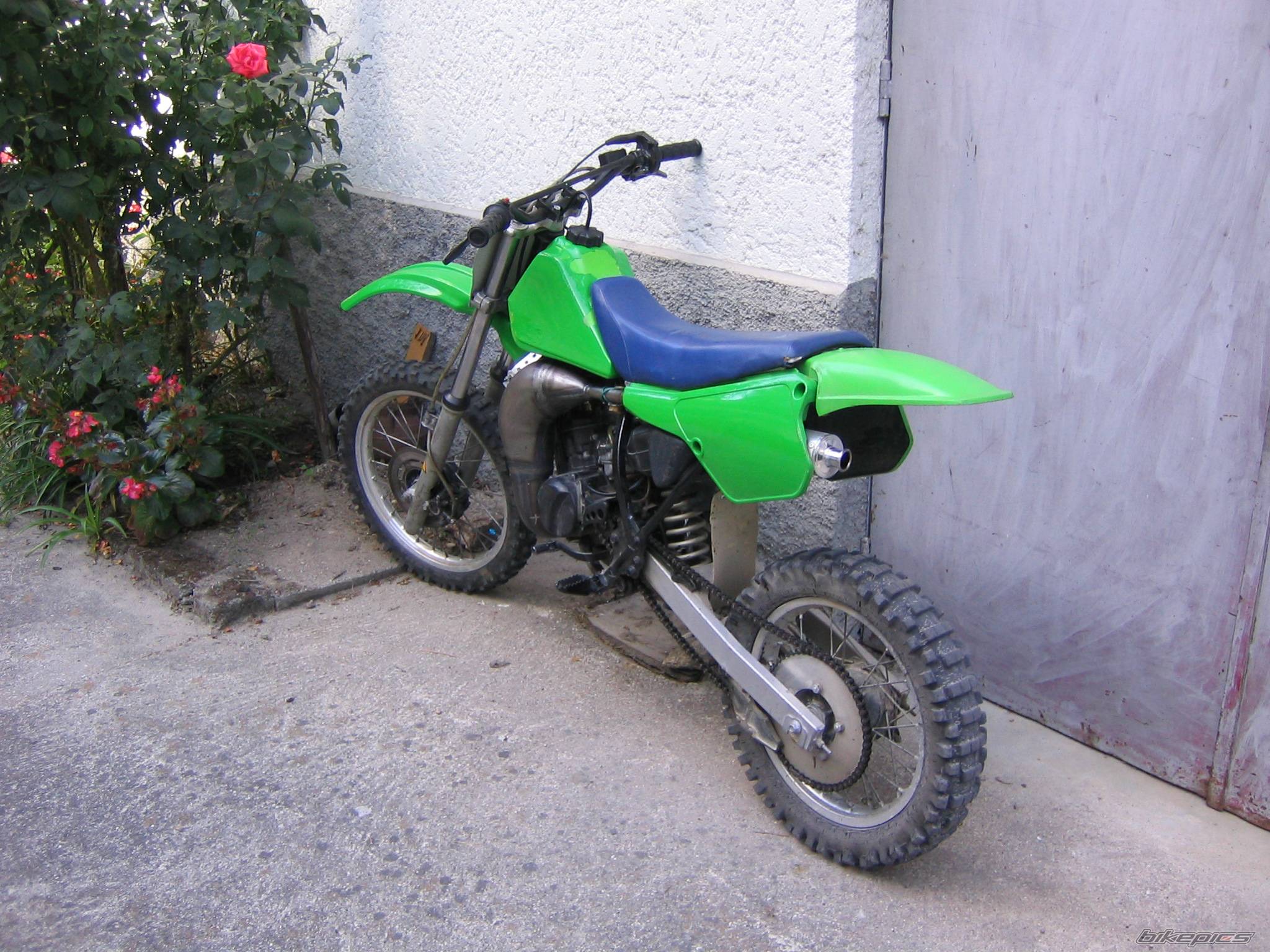 Photo 312429