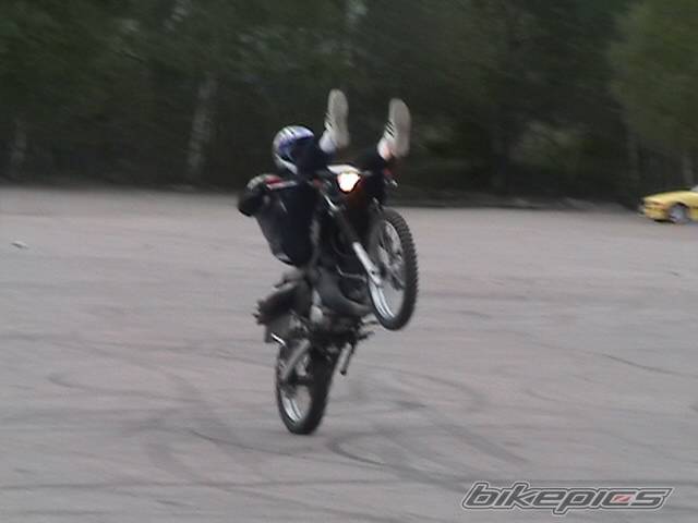 Photo 312433