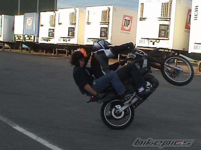 Photo 312437