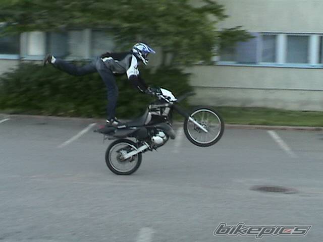Photo 312441