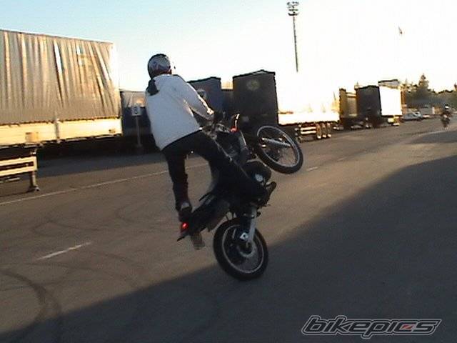 Photo 312442
