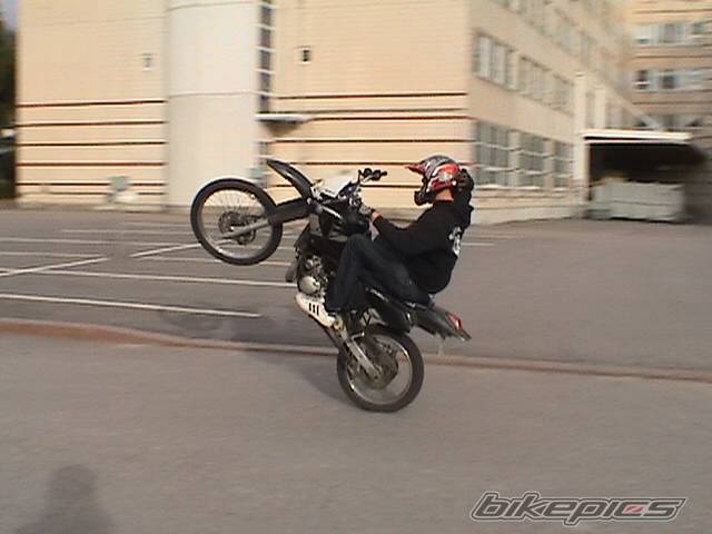 Photo 312444