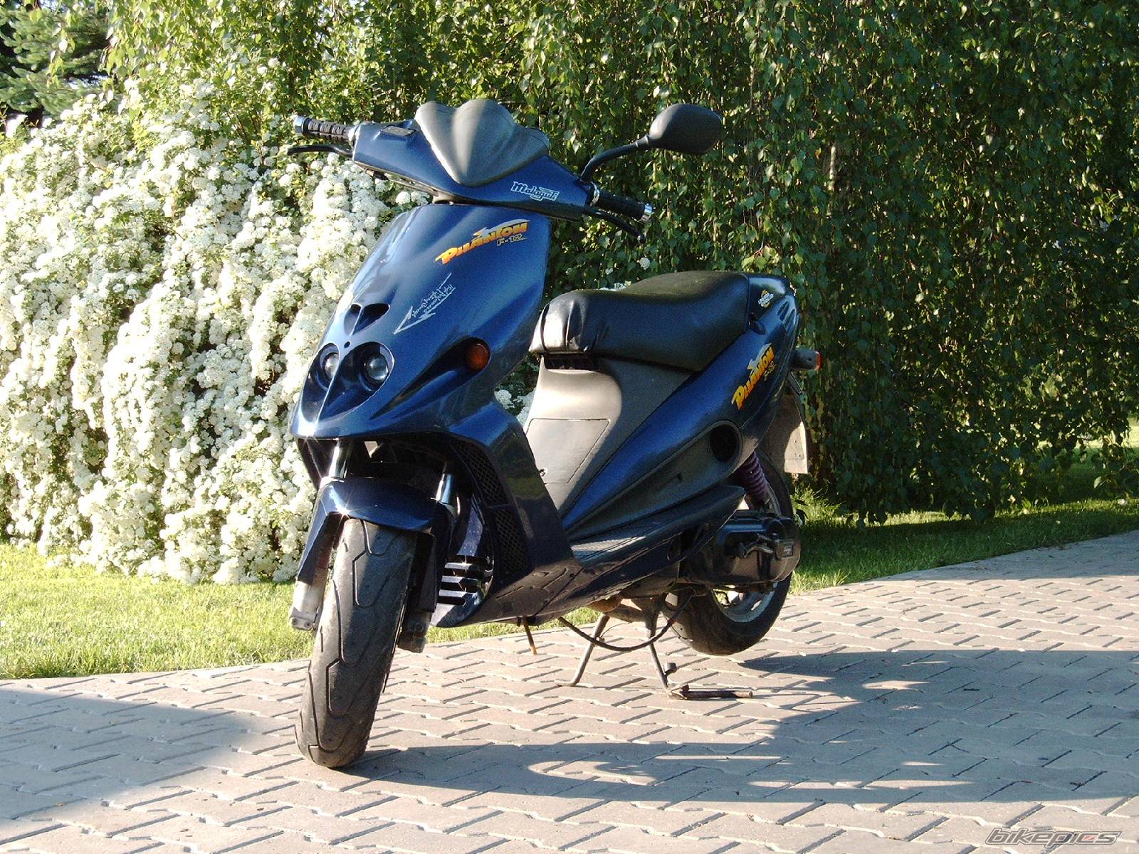 Photo 312452